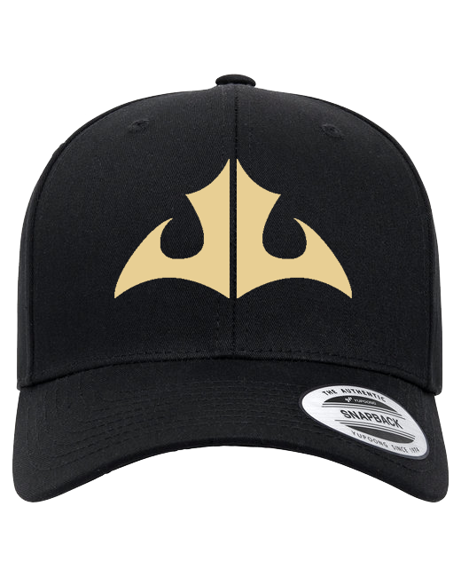 Snapback Hat